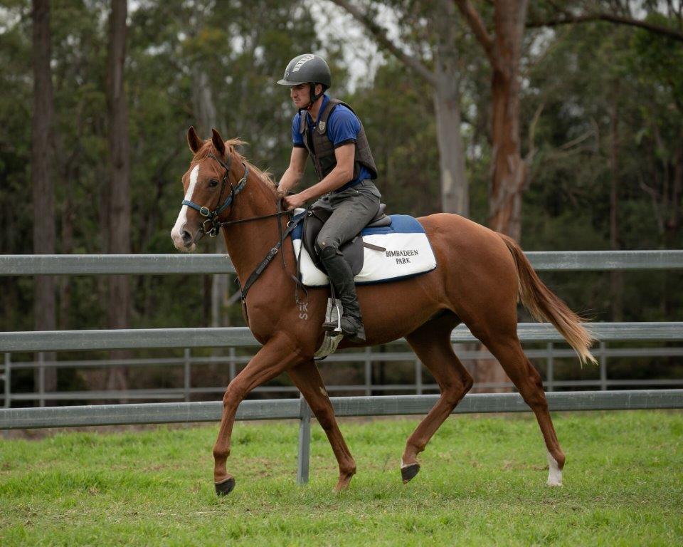 Gr3 Win for Close Relation to Our Dynamic SCISSOR KICK x MISS BAX Colt